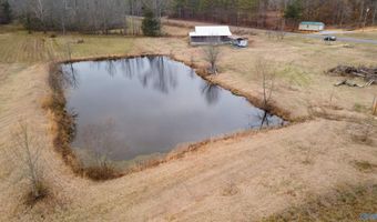 6608 Sand Valley Rd, Attalla, AL 35954