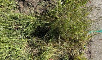 431 Christina Ct, Antioch, CA 94509