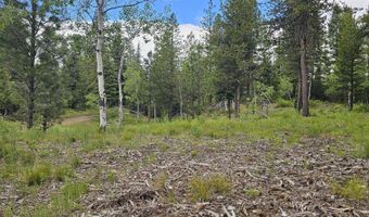 23 Sawtooth Loop, Cascade, ID 83611