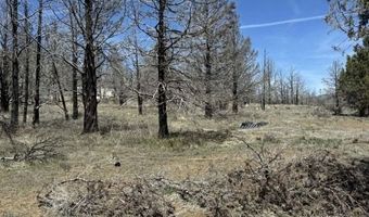 31763 Godowa Springs Rd, Beatty, OR 97621