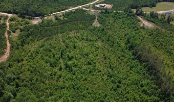 Tucker Road lot 11, Bath Springs, TN 38311