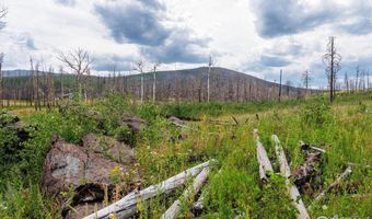 529 Quartz Rd, Bellvue, CO 80512
