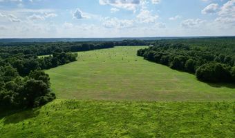 County Road 127, Banks, AL 36005