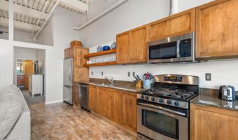 231 Robinson St 310, Basalt, CO 81621