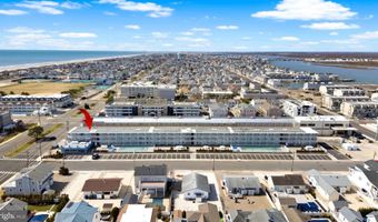 7800 DUNE Dr, Avalon, NJ 08202