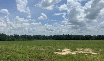 0 N County Rd. 75, Ashford, AL 36312
