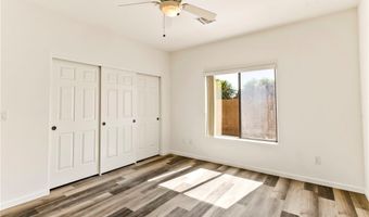 1446 Palm, Laughlin, NV 89029