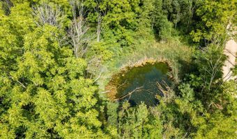 V/L Springhill Drive, Allegan, MI 49010