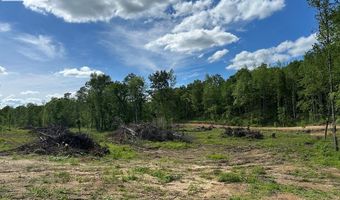 MT ZION RD, Big Sandy, TN 38221