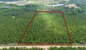 Tract 10 Sanderling, Alma, GA 31510