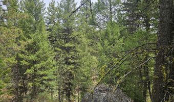 59 Price Loop, Cascade, ID 83611