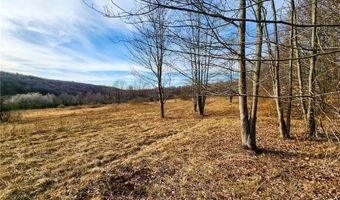 Quigg Hollow Road, Andover, NY 14806