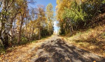 L9 & L10 Feodosia Drive, Anchorage, AK 99516