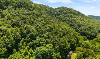 904 Briar Fork Rd, Bean Station, TN 37708