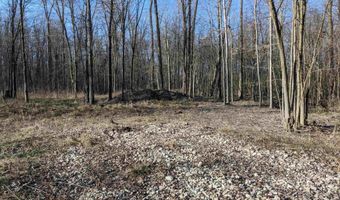 17540 Irwin, Armada, MI 48005