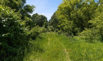 28 Mile Rd, Albion, MI 49224