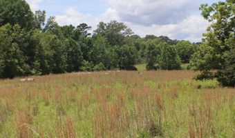 Vine Drive, Brandon, MS 39047