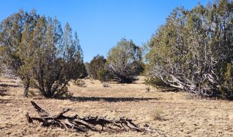 251 Se4 Juniperwood Rnch, Ash Fork, AZ 86320