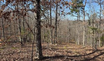 1003 Hidden Valley Lks, Annapolis, MO 63620
