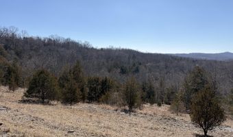 Rt 1 County Rd 14-531, Ava, MO 65608
