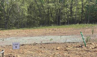 Lot 9 Madeleine Circle, Austin, AR 72007
