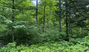40 Acres The Grade, Amasa, MI 49920