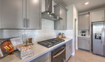 497 CHESTNUT FALCON AVE Dr 795, Henderson, NV 89011