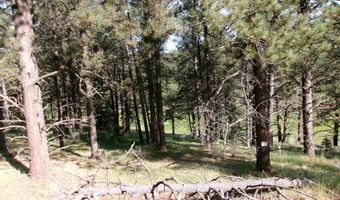 Lot 160 Valle Grande tr S, Angel Fire, NM 87710