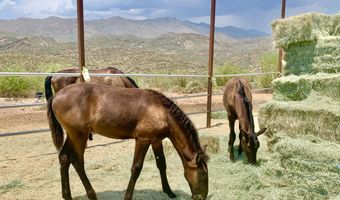 35190 S APRIL Dr, Black Canyon City, AZ 85324