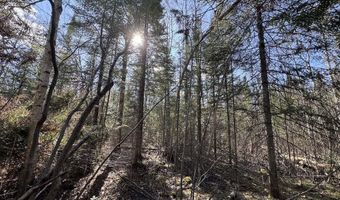 2254 E M30, Alger, MI 48610