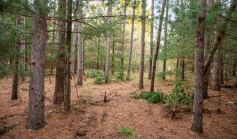 Lot 87 20th Avenue, Arkdale, WI 54613