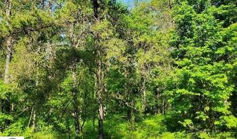 Quigley Road 40 Acres Quigley Road, Alger, MI 48610