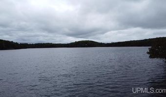 161 Porter Lk, Amasa, MI 49903