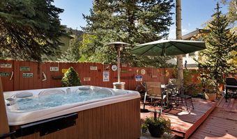 311 Midland Ave, Aspen, CO 81611