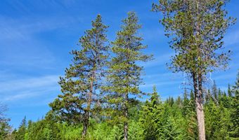 Nka Otter Lane, Bonners Ferry, ID 83805