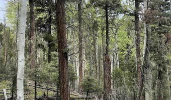 Lot 1419 Sacramento, Angel Fire, NM 87710