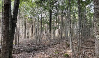 Bluff Road lot 5, Bar Harbor, ME 04609