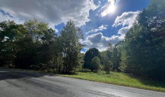 PINEPITCH Road, Harrington, DE 19952