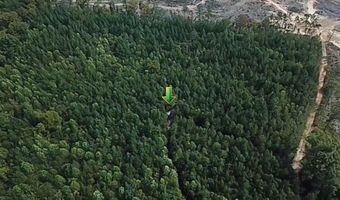 18 62 Ac Squirrell Hollow Rd, Alberta, VA 23821