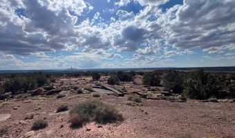 51 N9087, Concho, AZ 85924