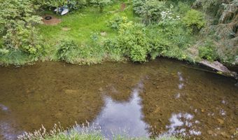 10251 Ridgview Ter, Birkenfeld, OR 97016