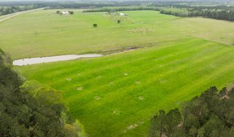 91801 U. S. Highway 98, Beaumont, MS 39423