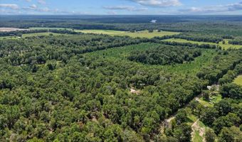 4700 55th Ave, Bell, FL 32619