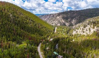 11336 County Road 742, Almont, CO 81210