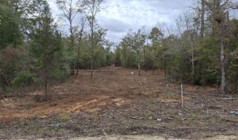 Tommy Tucker Road lot 4, Altha, FL 32421