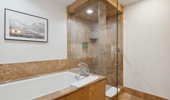 415 E Dean St Unit 48 Week 31, Aspen, CO 81611