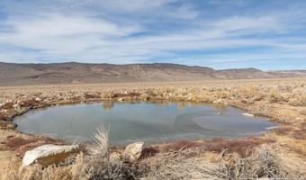 1002 US HWY 6 16, Dyer, NV 89010