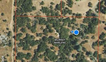 41902 Woodward Way, Ahwahnee, CA 93601