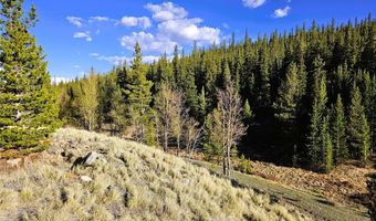 PCS # 7765 & 12057 Rollies Trail lot 0, Alma, CO 80420