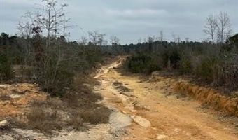 MCCAULEY SHERIDAN Road lot 999, Bogalusa, LA 70427